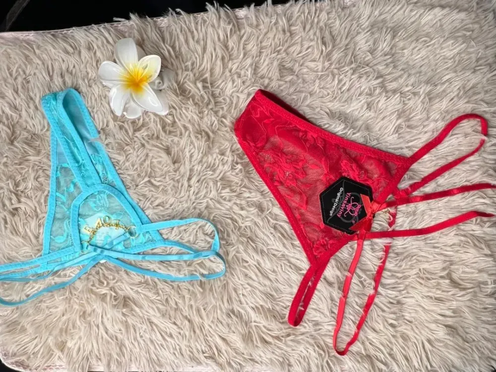 Gaec des poitevines lingerie (1)